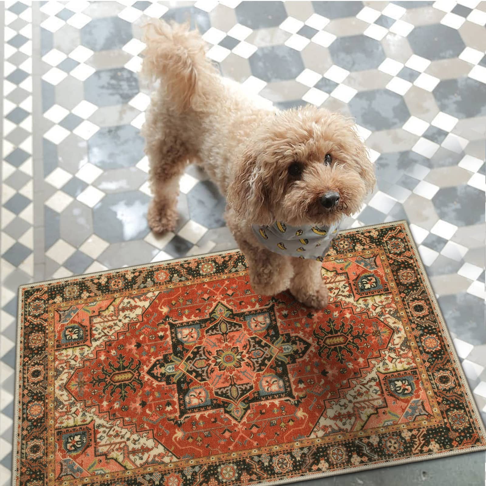 Washable Indoor Door Mat, Non Slip Retro Entryway Rug 20″ x 32″ Doormat Quick…