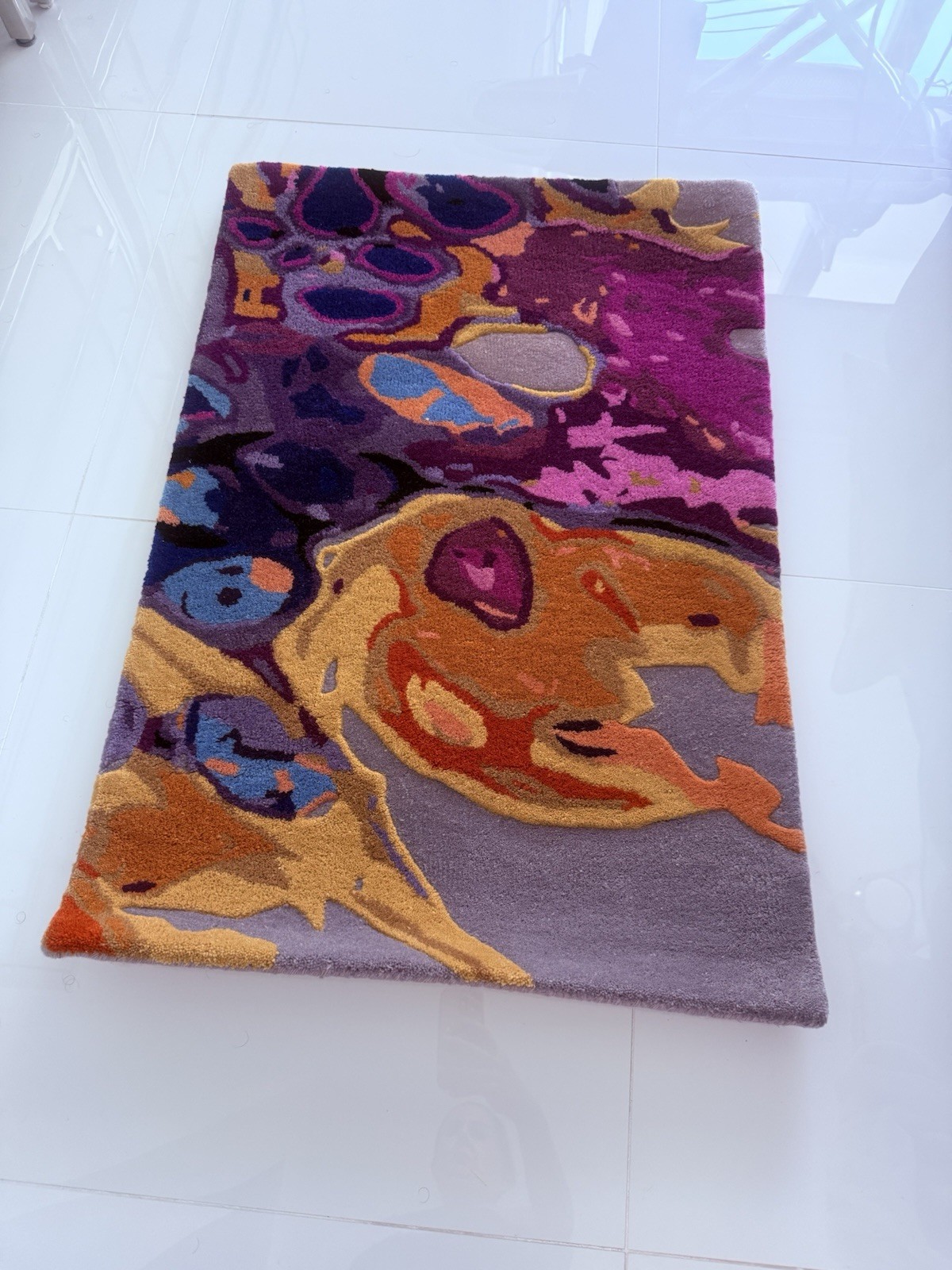 Area Rug…NEW