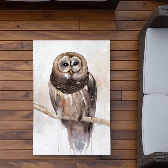 2×3 ft. Barred Owl Outdoor Area Rug – Animals Bedroom Decor – Rectangle