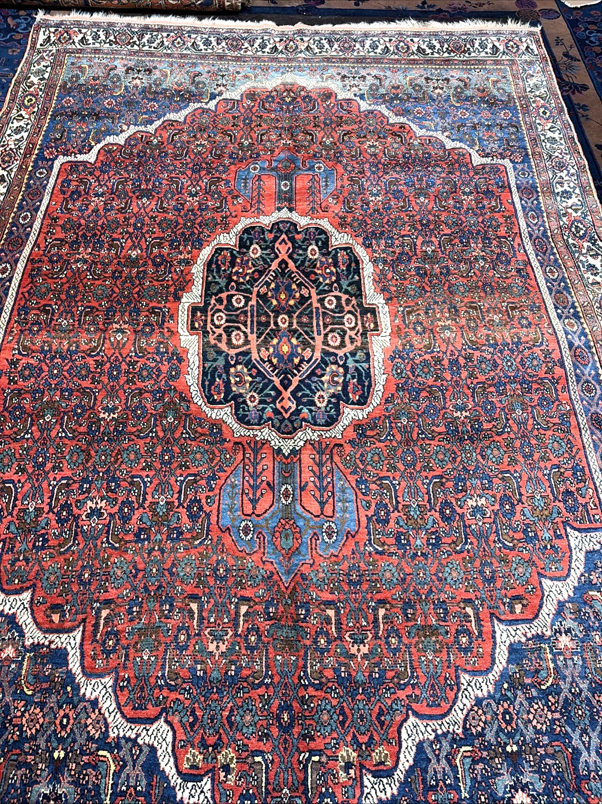 Auth: 19th C Antique Kurdish Bidjar Collectors Choice Beauty Organic 8×11