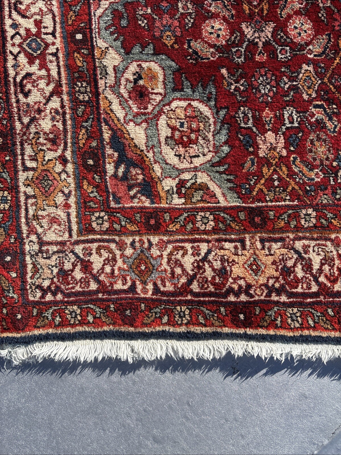 Densely Woven 4 X 6 True Bidjar Rug Herati Pattern Brick Sunset Pale Blue Ivory