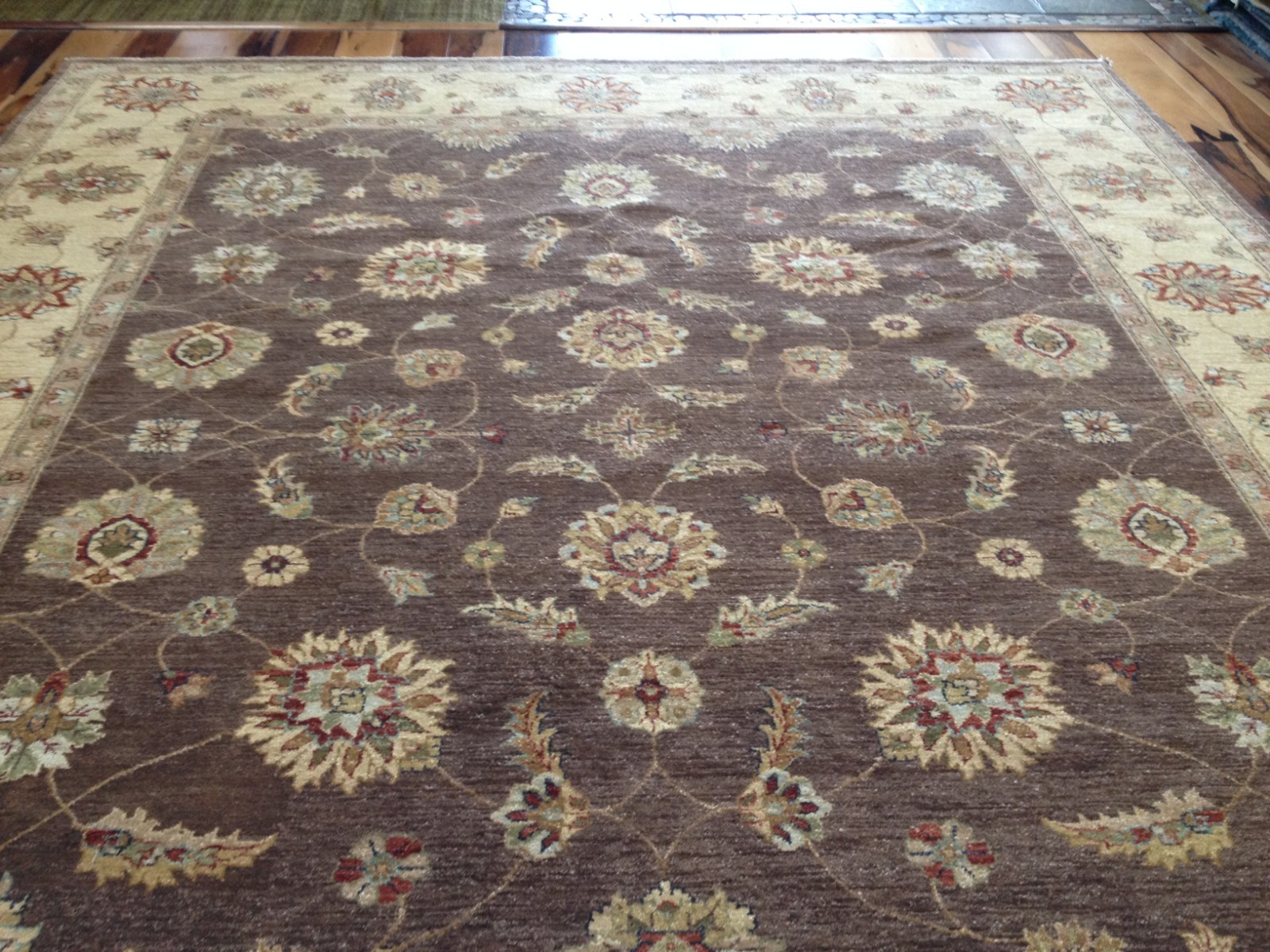 8 x 10 Beautiful Indo peshavar Hand Knotted Oriental Rug Wool