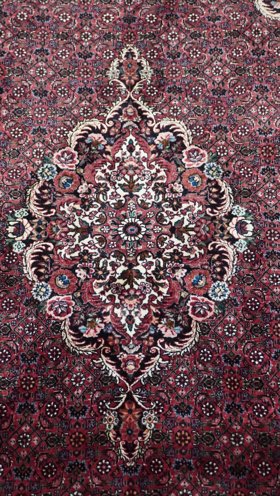Bijarr Silk & Wool Hand Knotted Premium Quality Rug 4’5″ x 7′