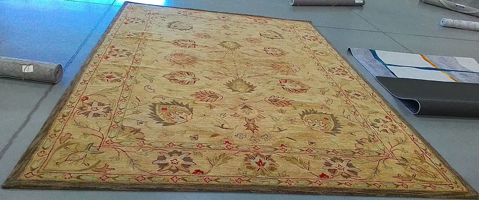 BEIGE / BEIGE 9′-6″ x 13′-6″ Hole in Rug, Reduced Price 1172762119 AN512A-10