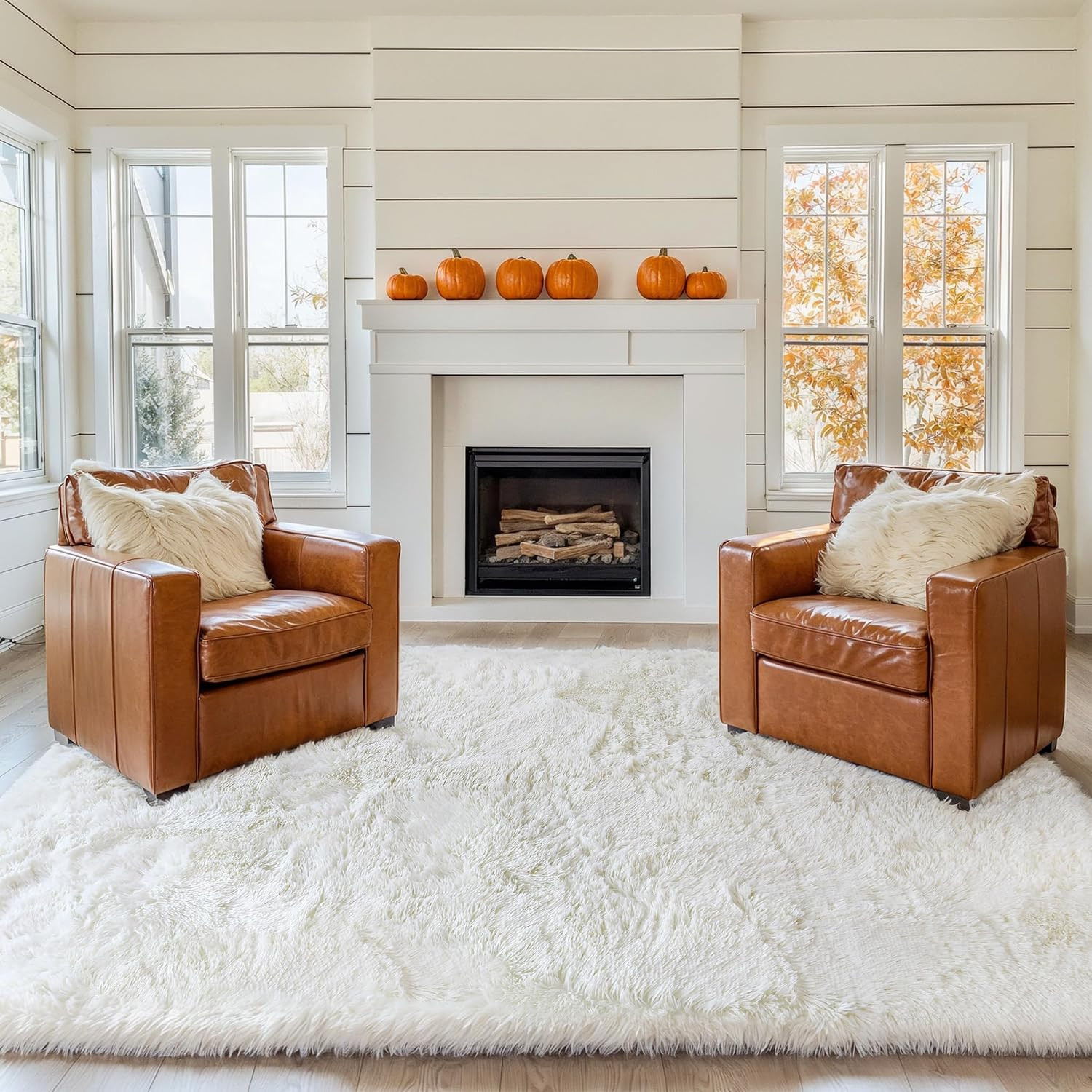 Thick Area Rug 4X6 Cream White Fluffy Shag for Bedroom, Soft Washable Fuzzy Shag