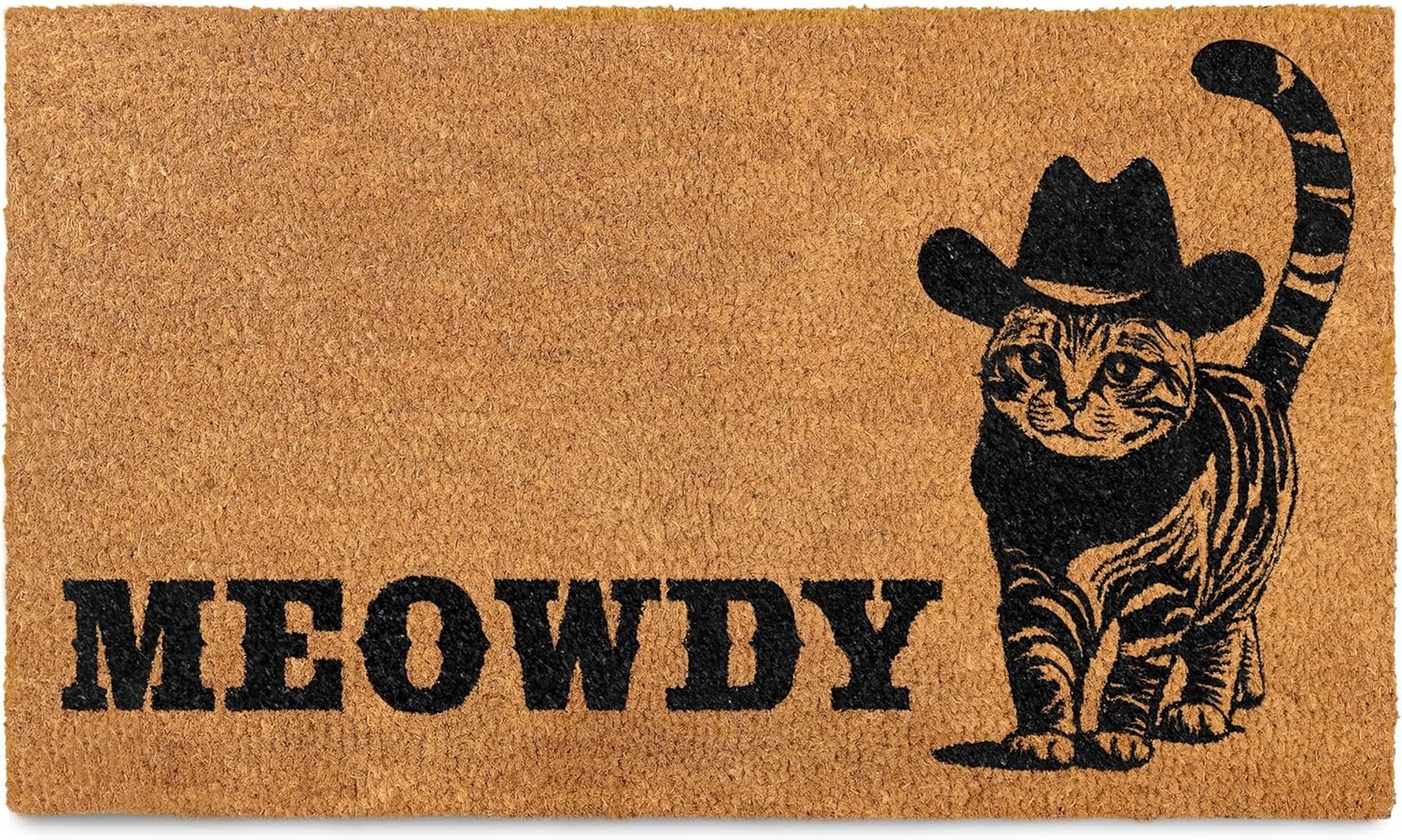 Cat Doormat 30×17 Inch Outdoor Front Door Mat for Covered Porch Black Cat