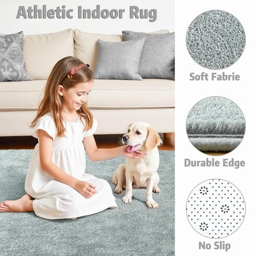 4×6 Minimalist Washable Area Rugs for Bedroom Living Room Classroom, Modern