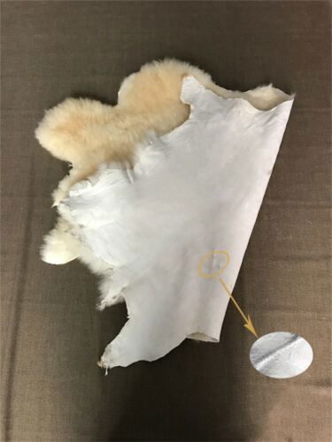 100% Genuine Sheepskin Fluffy Fur Rug Windward 60x110cm Natural Soft Fashion