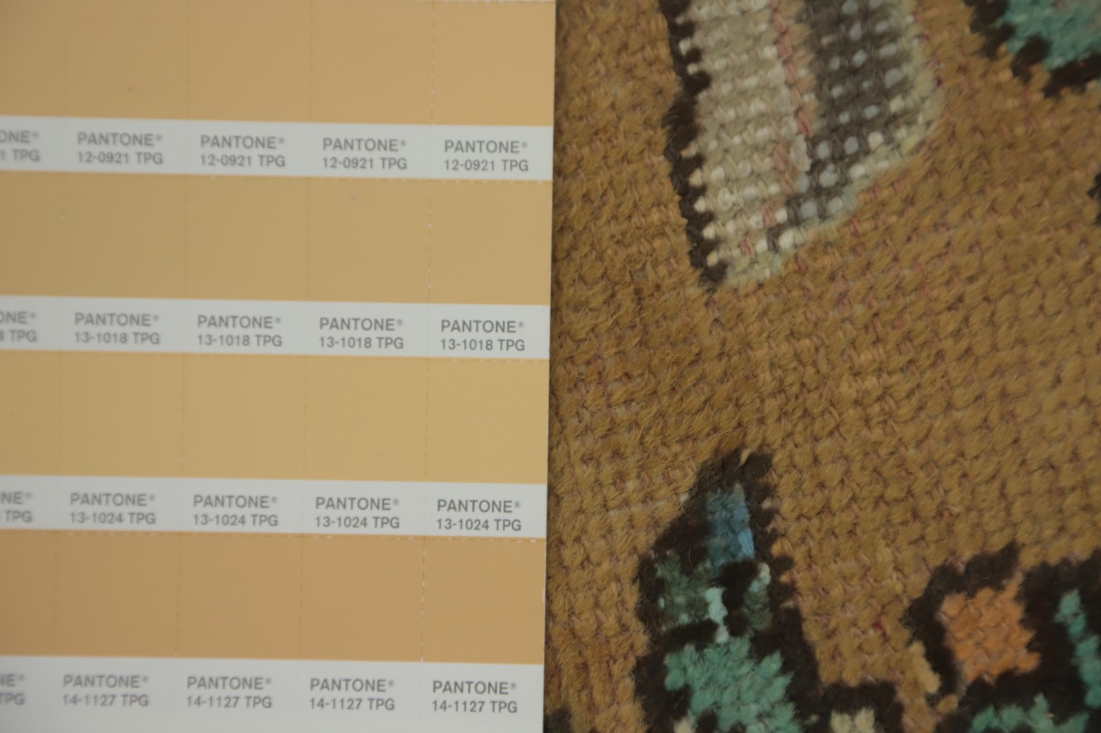 Graceful Traditional Over-Dyed Area Rug 6×9 in Warm Earthy Tones Handmade Carpet
