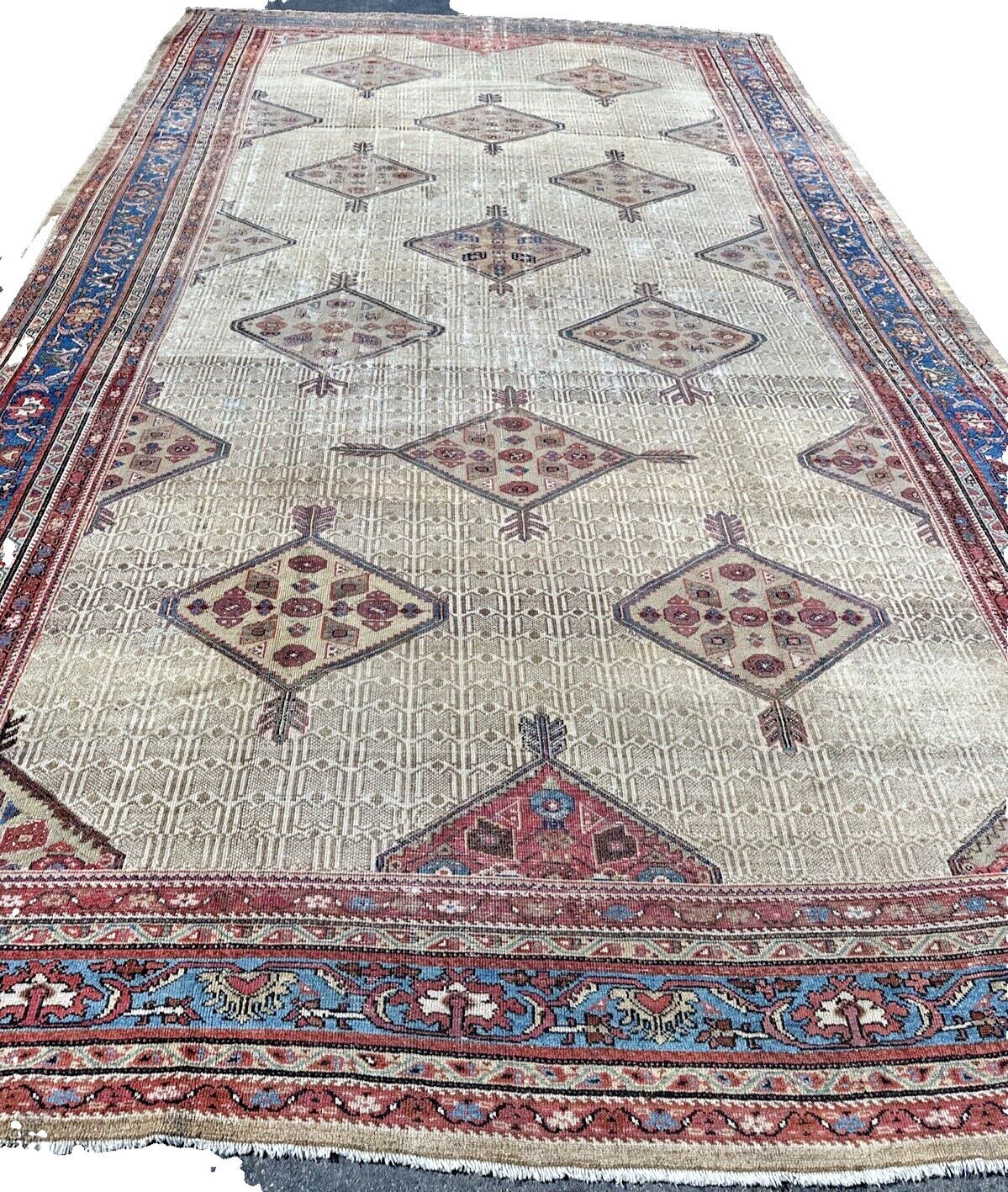 Auth: 19/20th C Antique Camel Hair Sarab – Rare Elegant Multi Medallion 11X20