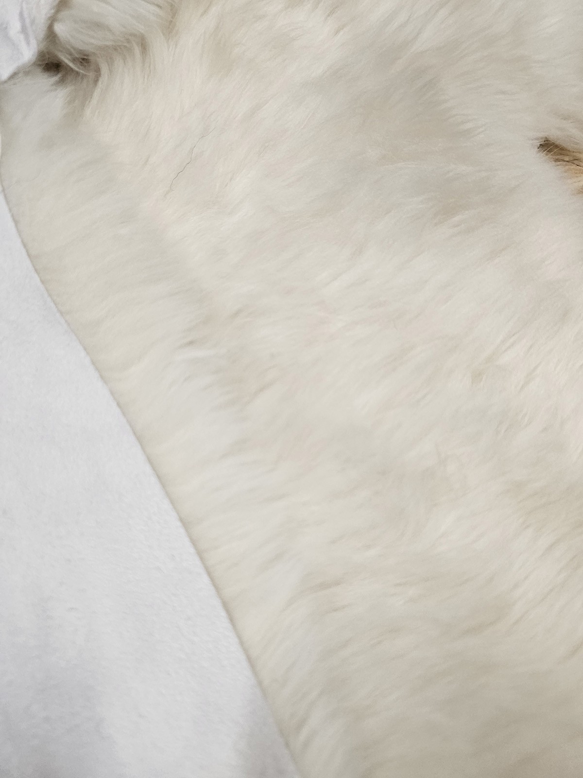 Scandinavian Eco Sheepskin 2. Choice – White with Brown Dots