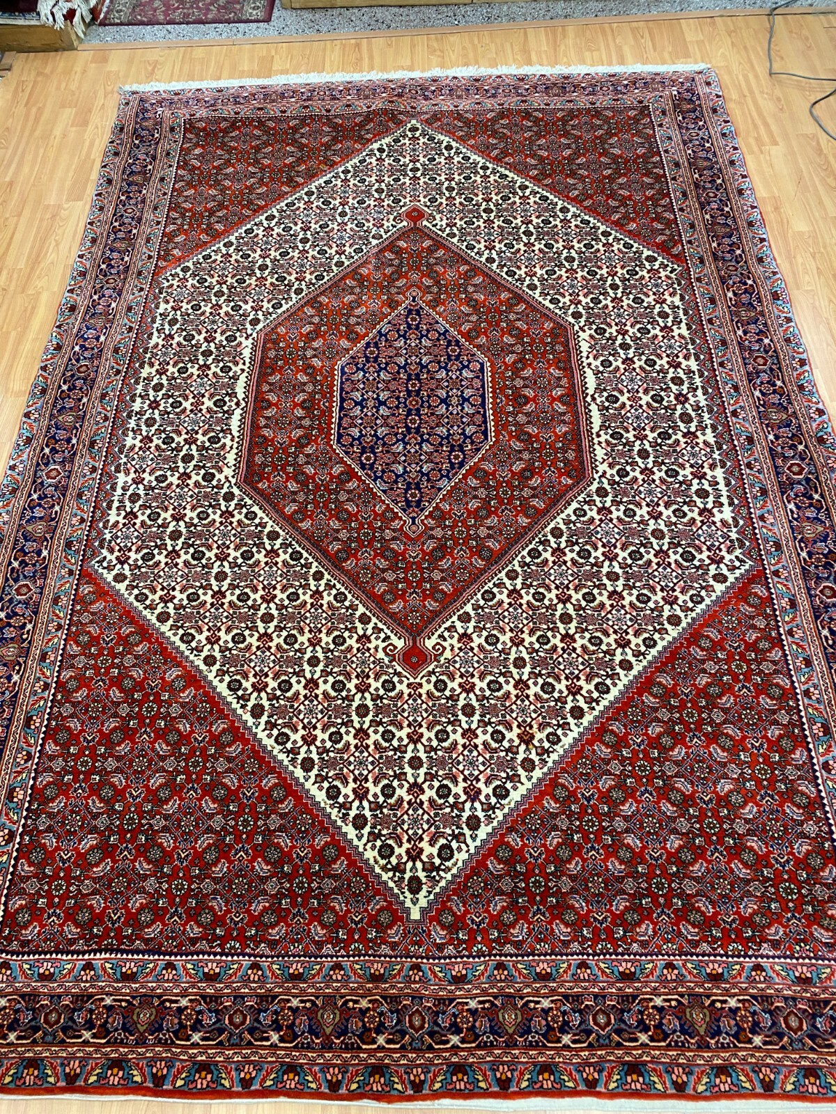 6’9″ x 10′ New Kurdish Oriental Rug – Hand Made – 100% Wool – Full Pile