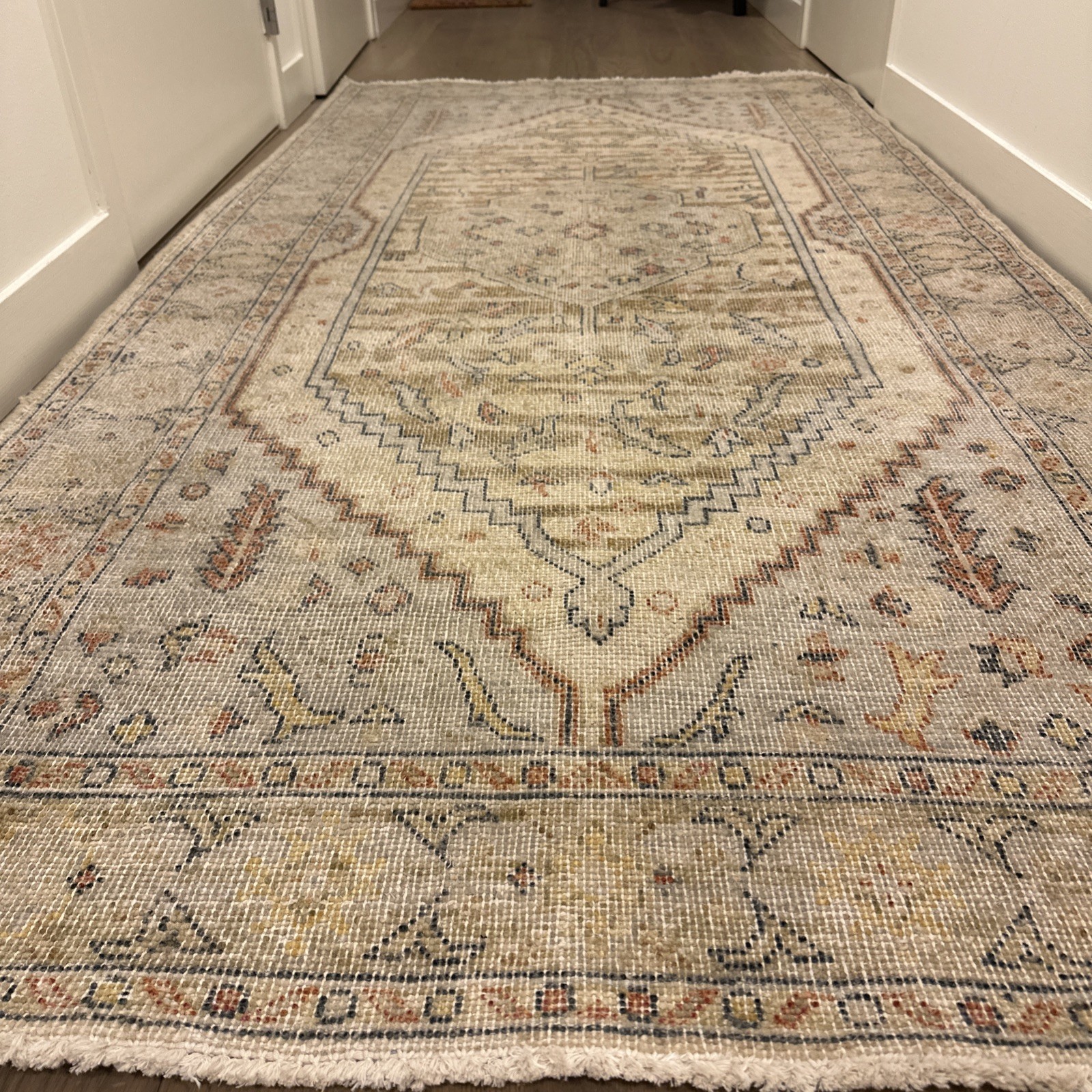 Room and Board Jaadu Rug In Sand Color 4×8 Area Rug — Excellent Condition