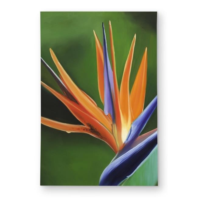 2×3 ft. Bird of Paradise Flower Orange Outdoor Area Rug – Home Decor – Rectangle