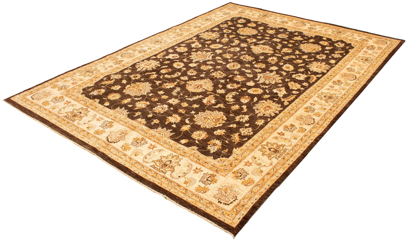 Hand Knotted Area Rug 9’10” x 14’5″ Traditional Oriental Wool Carpet