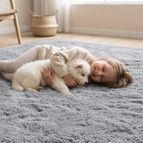 8×10 Area Rugs for Living Room, Large Fluffy Carpet for Bedroom Office Dorm