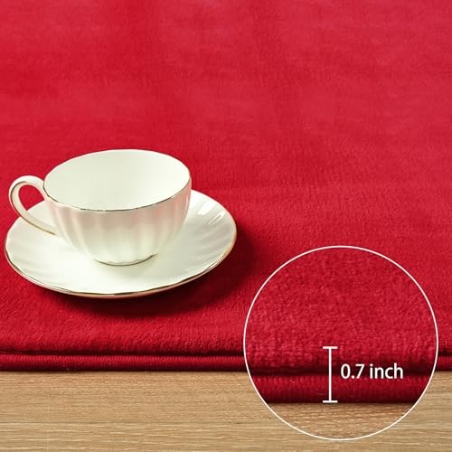 Area Rug for Bedroom Living Room, Solid Non-Slip 6×9 Fluffy 6×9 feet Red