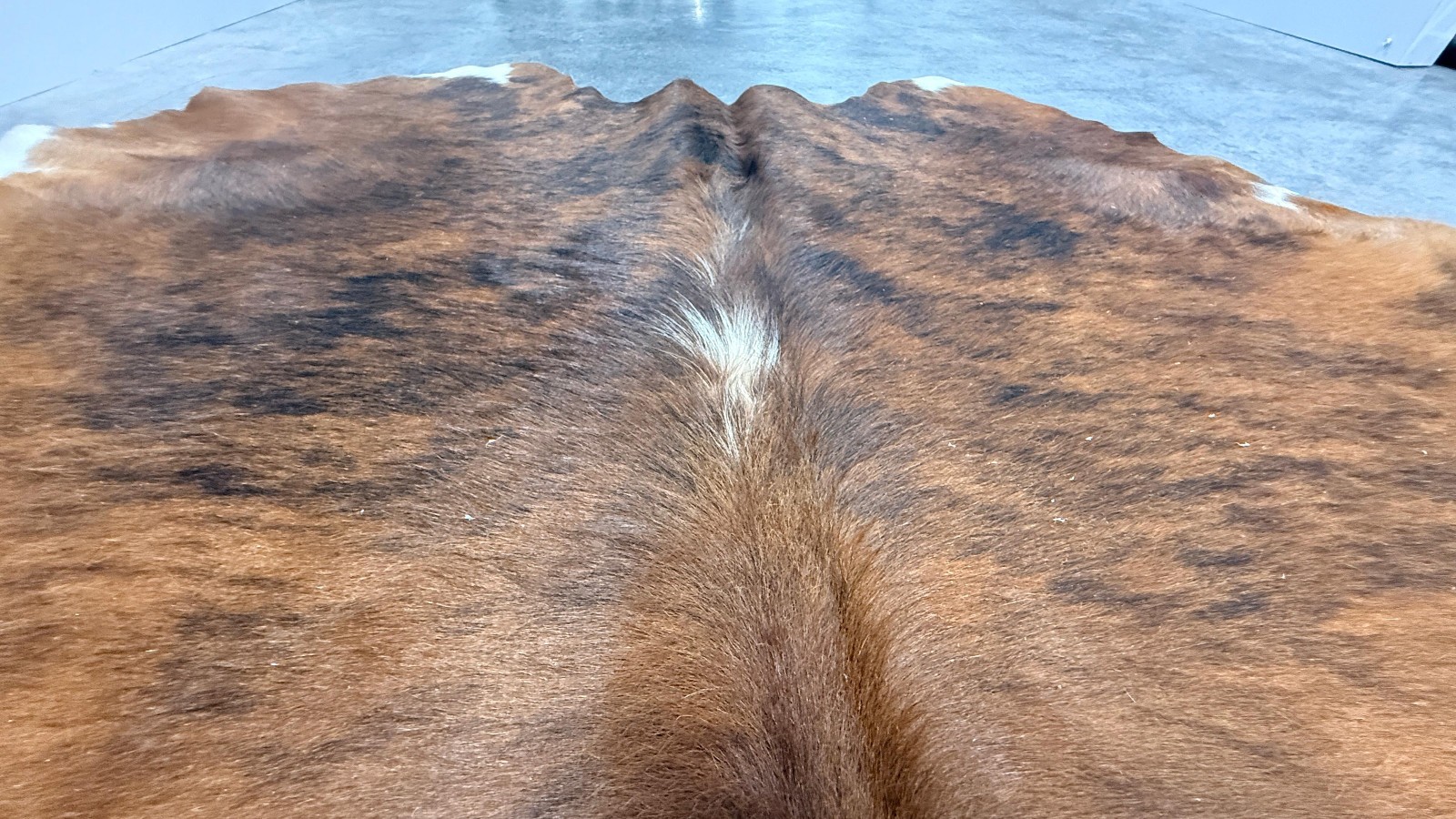 Cowhide Rug Brindle Tricolor 71″x71″ (5.9×5.9 ft) | Rustic Interior Accent #005