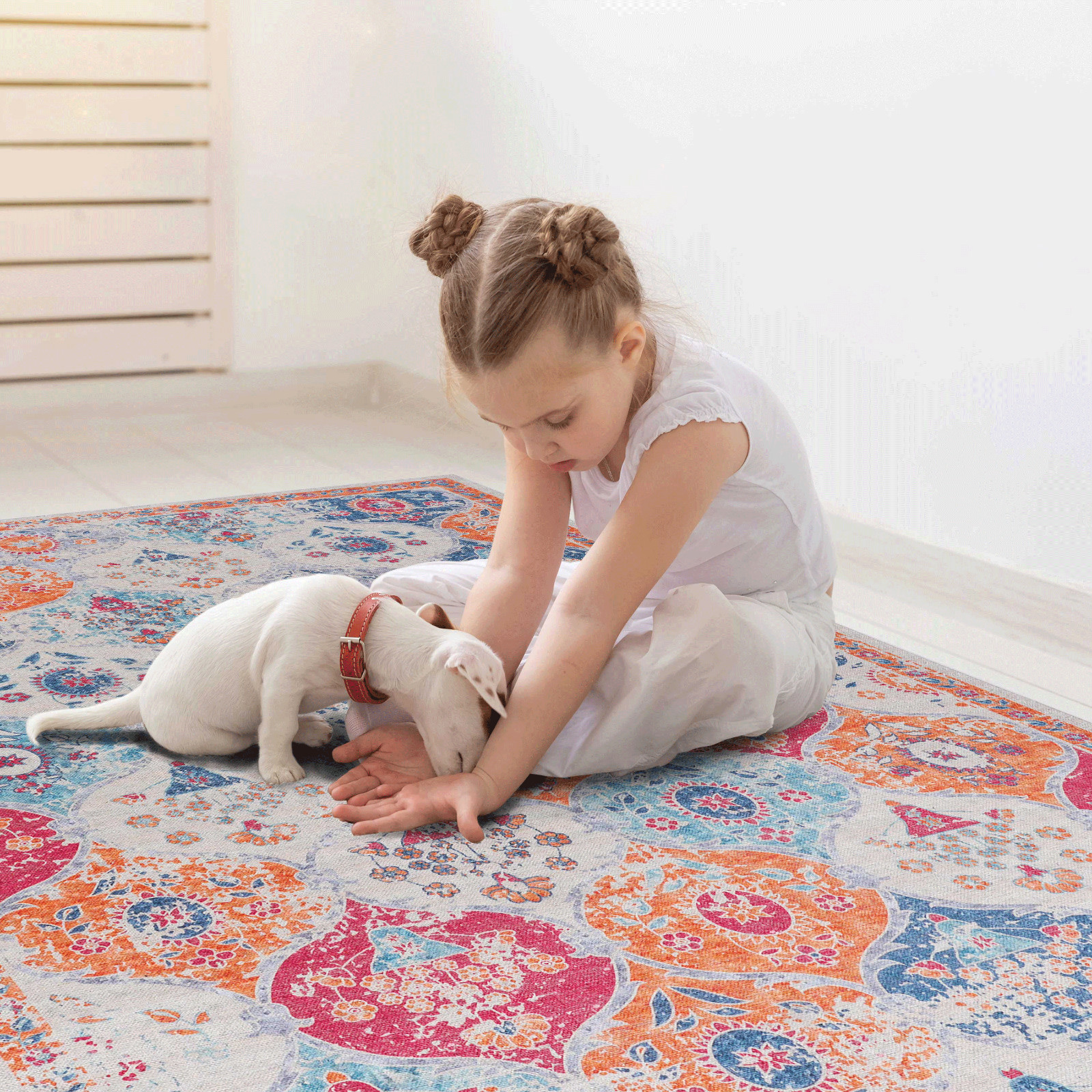 Washable Area Rugs, Modern, Contemporary, Non-Shedding & Easy to Clean