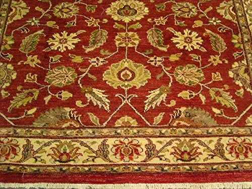 Area Rug Rare Chobi Mahal Zeigler Vege Dyed Home Hand Knotted Carpet (9.7×7.11)’