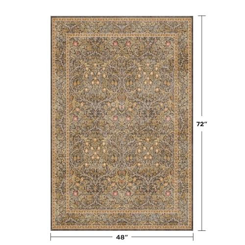 Vintage Brown 4×6 Area Rugs for Large Entryway, Bedroom Beside Rug, Kitchen,