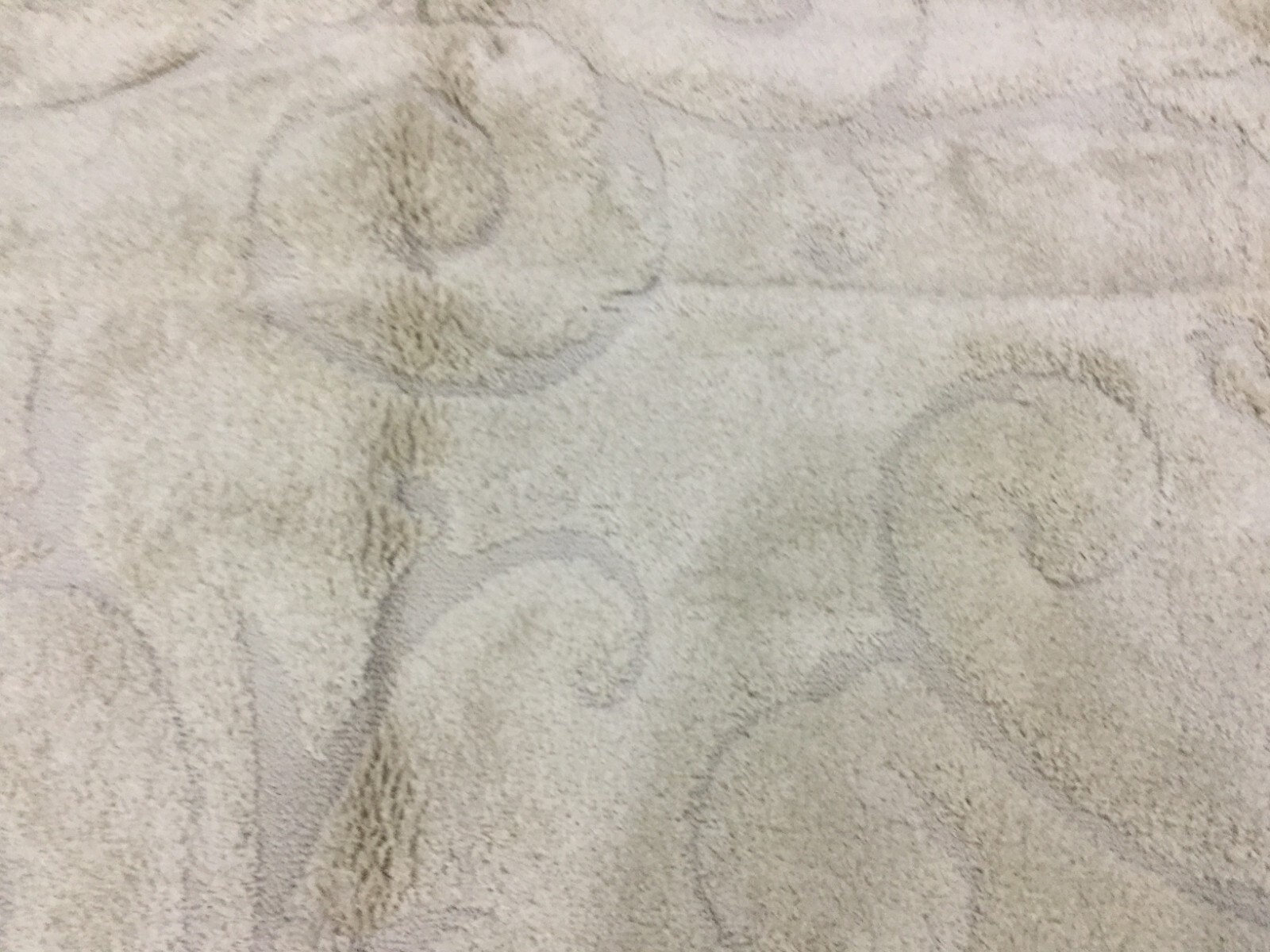 CREME / CREME 11′ X 11′ SQ Flaw in Rug, Reduced Price 1172658872 SG455-1111-11SQ