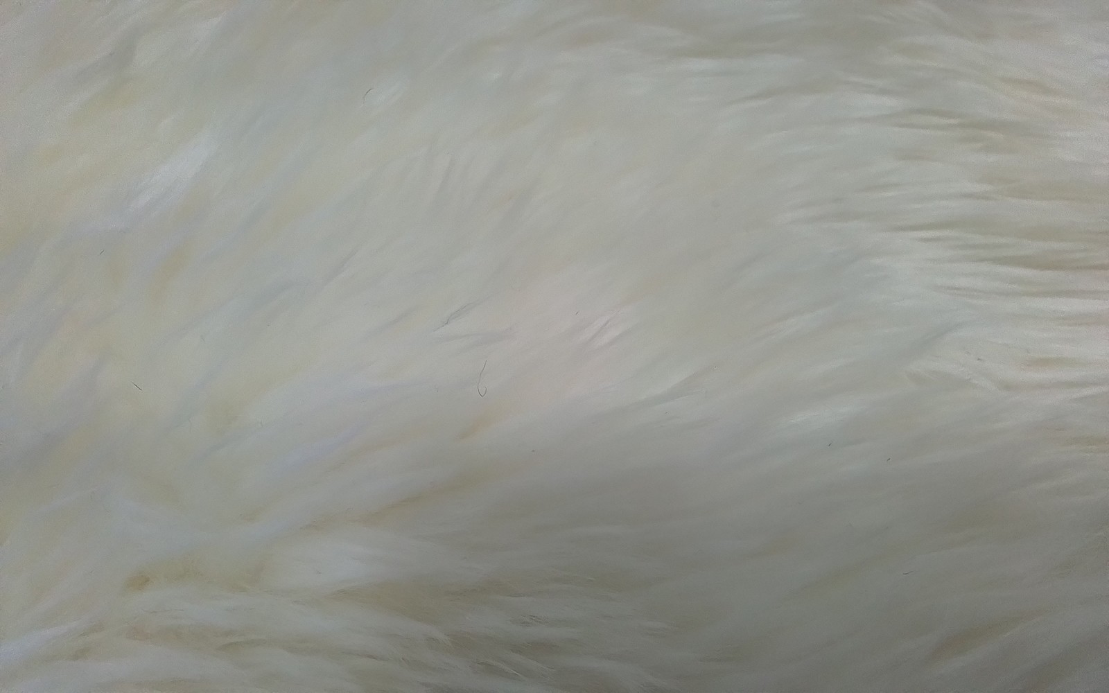 NATURAL/WHITE 2′-0″ x 12′-0″ Back Stain Rug Reduced Price 3172810751 SHS211A-212