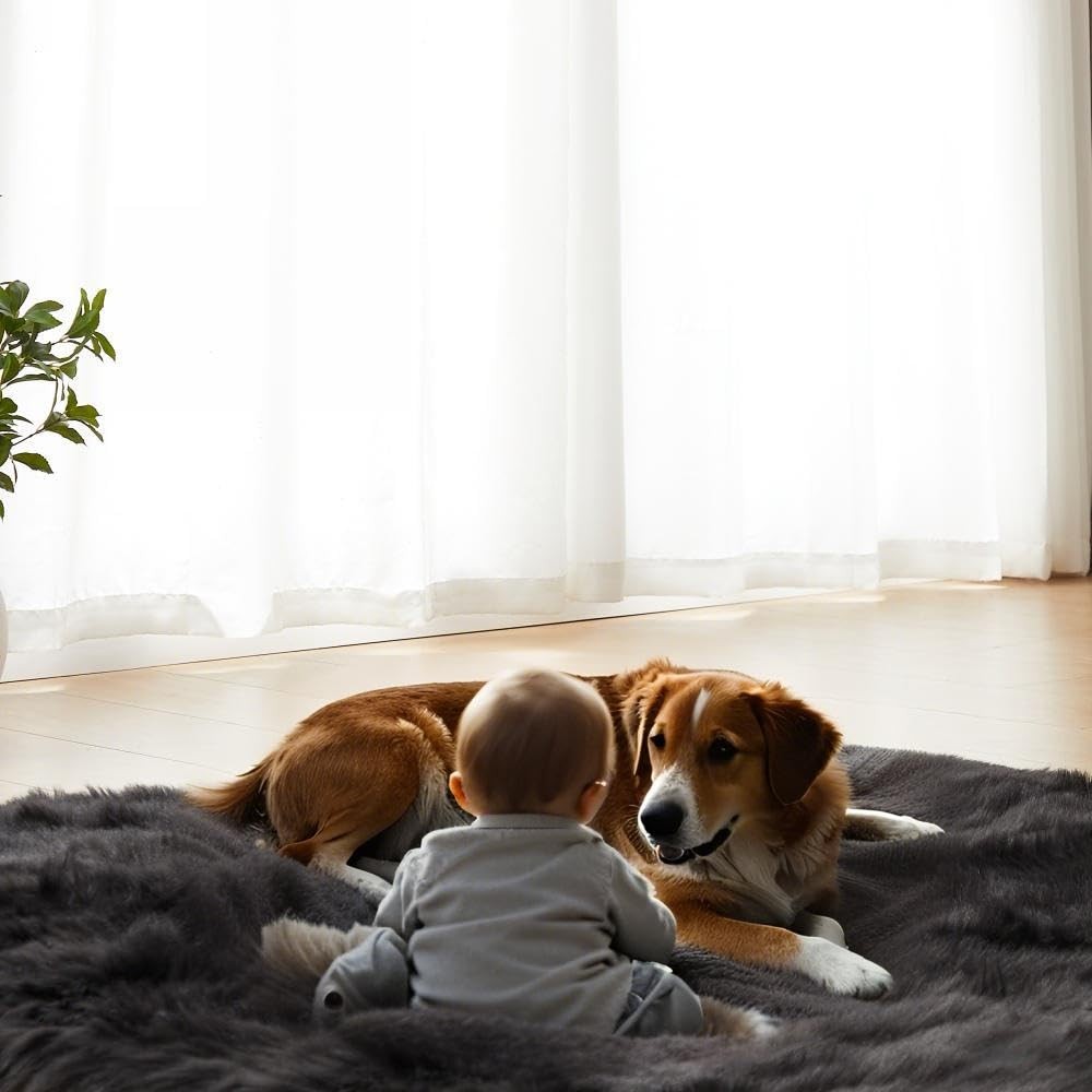 AMTOVO Faux Fur Sheepskin Rug for Living Room, 4 x 6 ft Black Fluffy Area Rug…