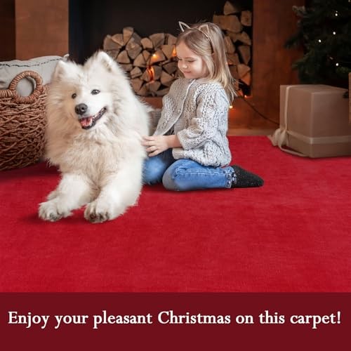 Area Rug for Bedroom Living Room, Solid Non-Slip 6×9 Fluffy 6×9 feet Red