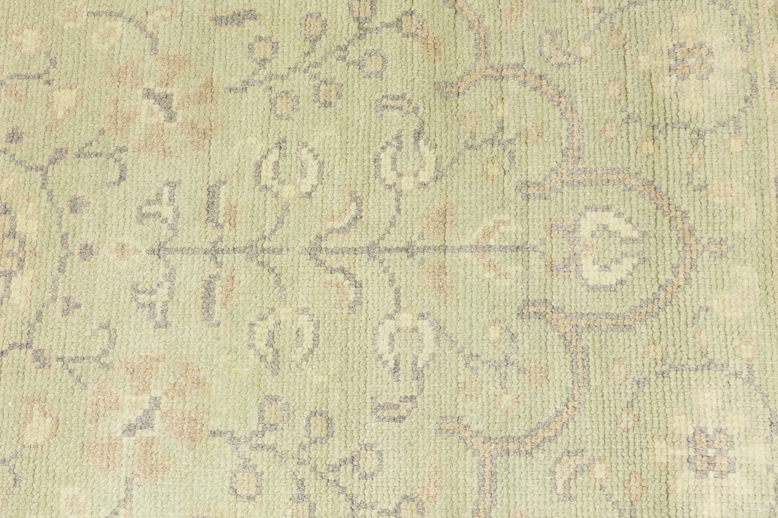 3×5 Small Transitional Muted Color Floral Oriental Rug Entryway Decor Carpet