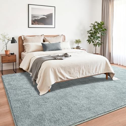 4×6 Minimalist Washable Area Rugs for Bedroom Living Room Classroom, Modern