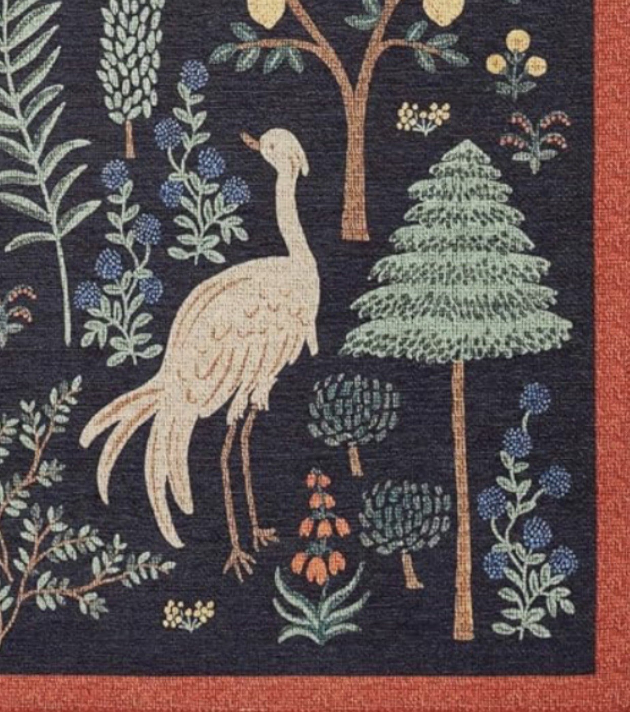 Stunning Bliss Woodland Animal Botanical Jungle Indoor Area Rug 5’ x 7’ Black