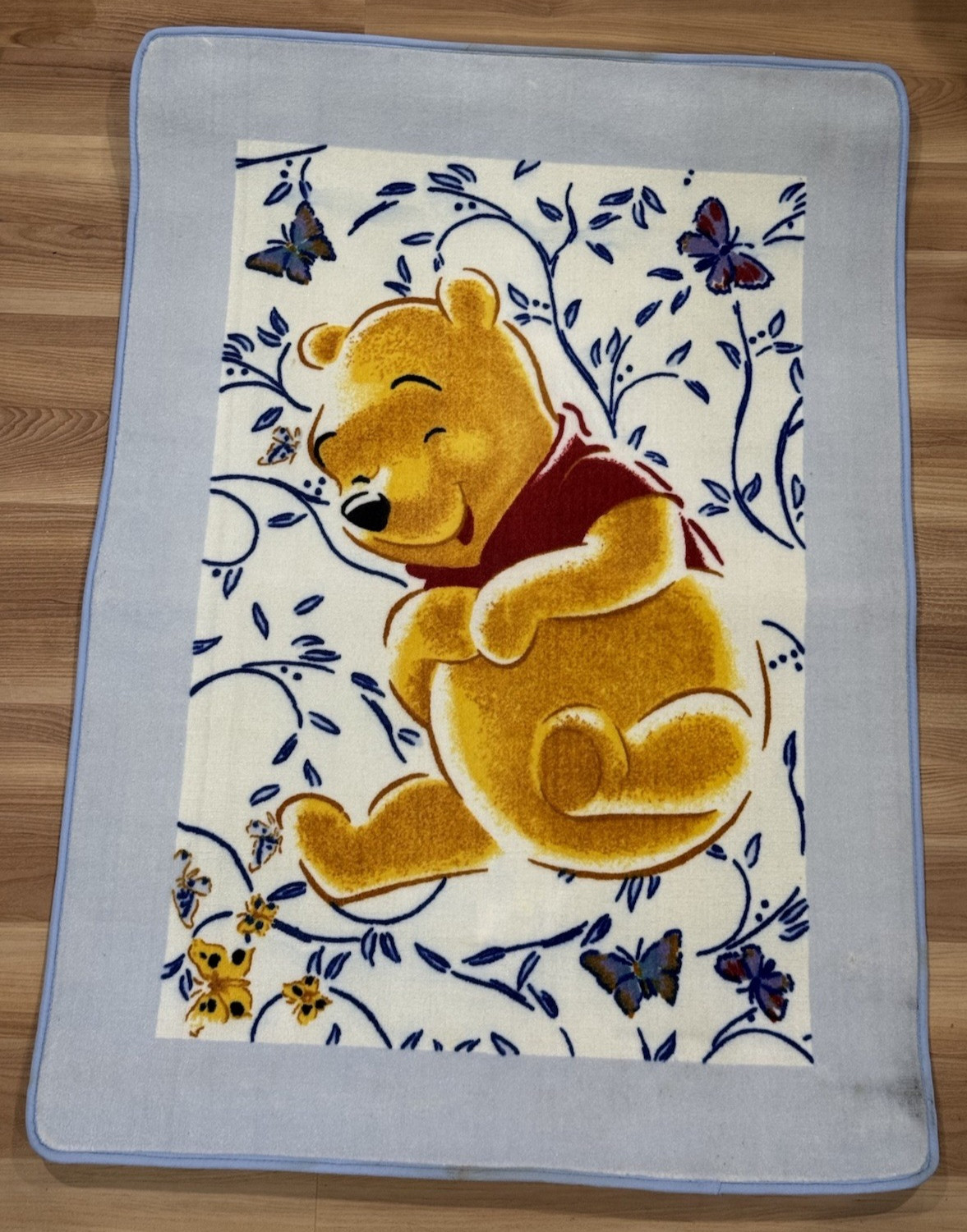 DISNEY “Winnie The Pooh” Area Rug Sky Blue/Multi 29.5 in x 41.5 in~New W/o Tag