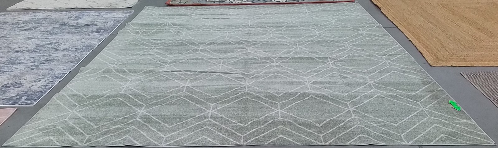 SAGE / IVORY 11′-0″ x 15′-0″ Stained Rug, Reduced Price 1172801819 ADR241Y-1115