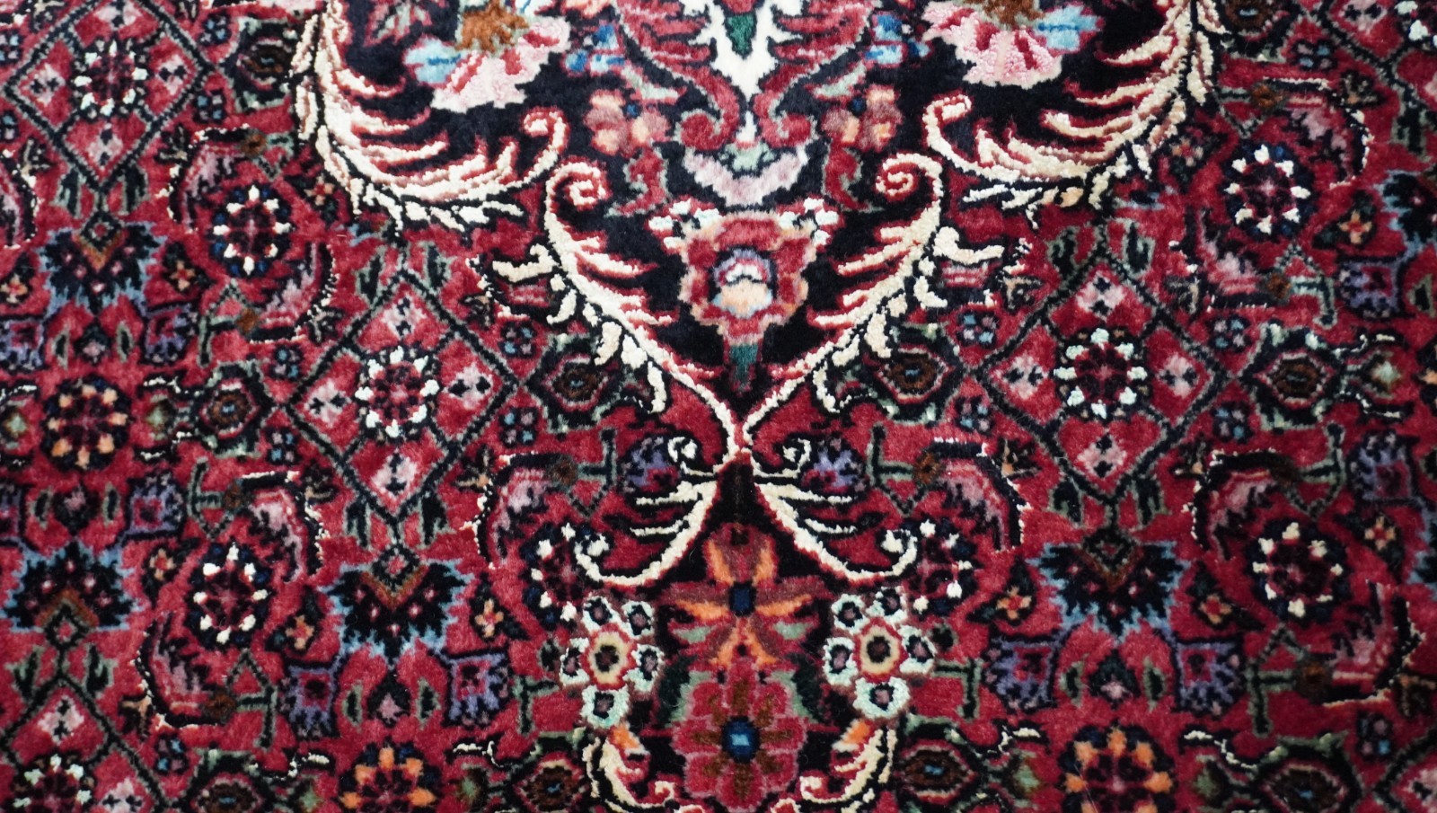 Bijarr Silk & Wool Hand Knotted Premium Quality Rug 4’5″ x 7′