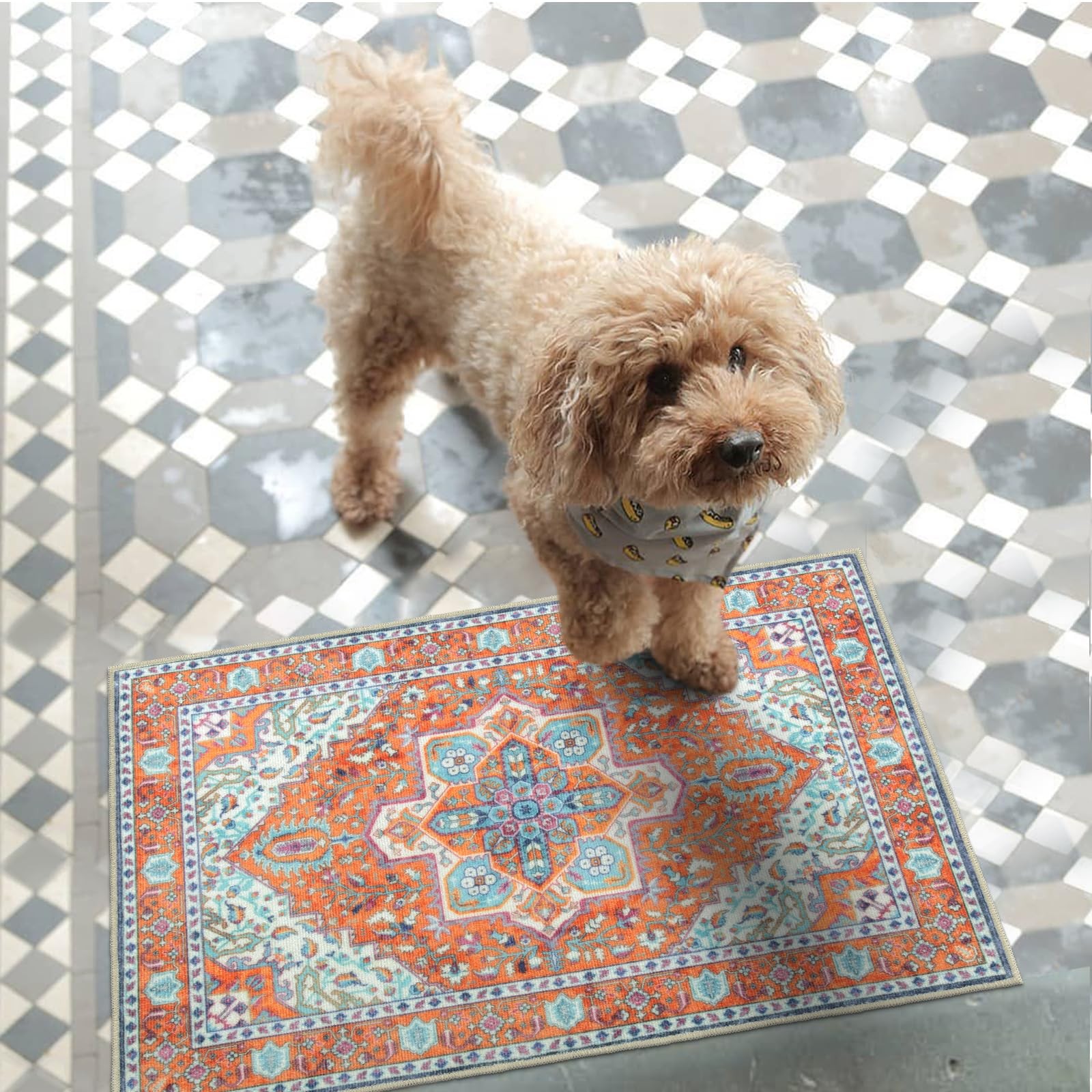 24×36 Inch Washable Indoor Doormat Retro Distressed Entrance Rug NonSlip