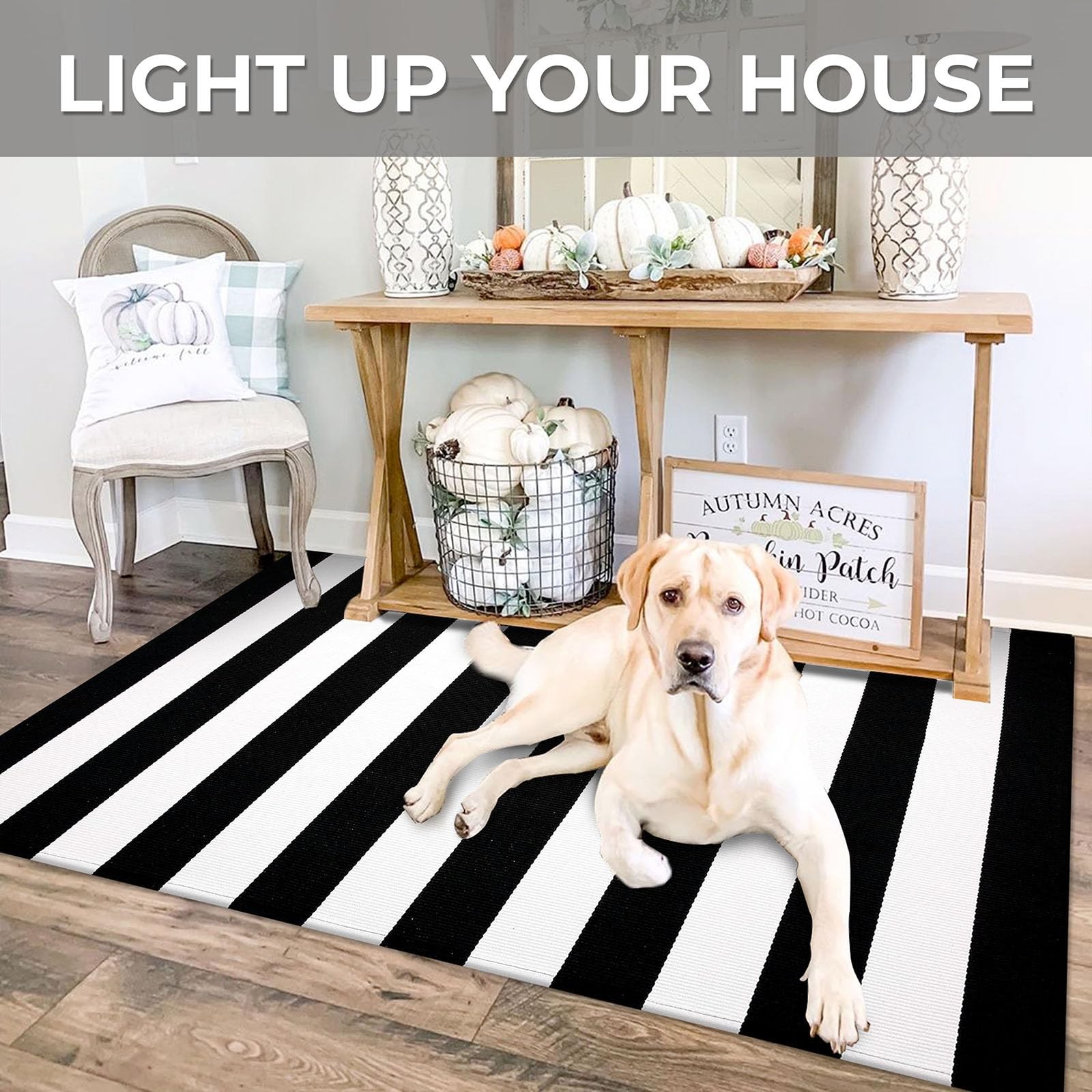 IOHOUZE 3×5 Striped Outdoor Rug, 3′ x 5′ (Rectangular), Black White Stripe