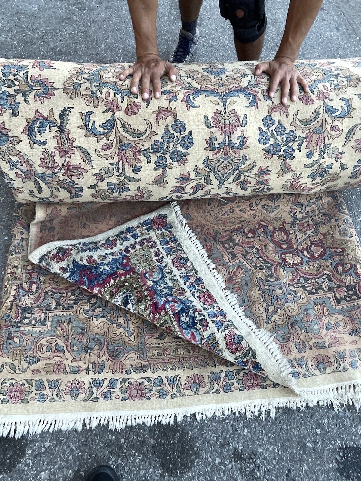 Auth: 20’s Antique Lavar P e R Sa. Ivory 12×19 Botanical Beauty