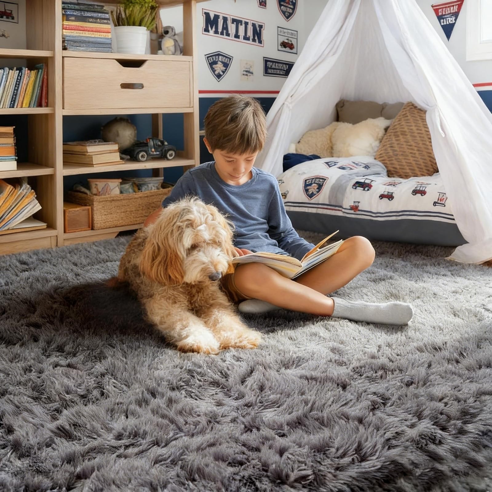 PAGISOFE Grey Fluffy Area Rug 4×6 Shag Rug for Bedroom Living Room
