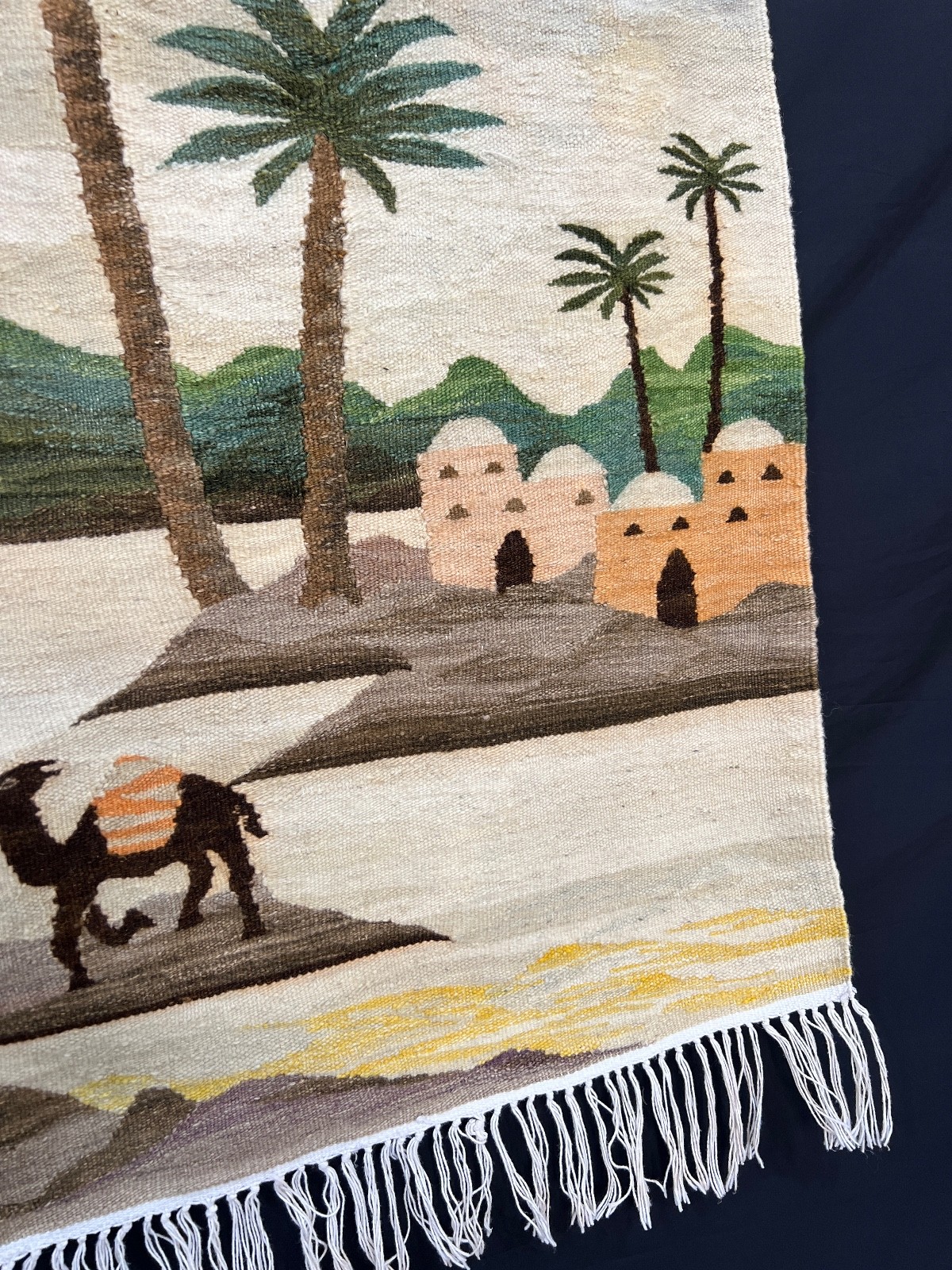 Vintage Tunisian Hand Woven Wool Rug Native Tribal Tapestry S108