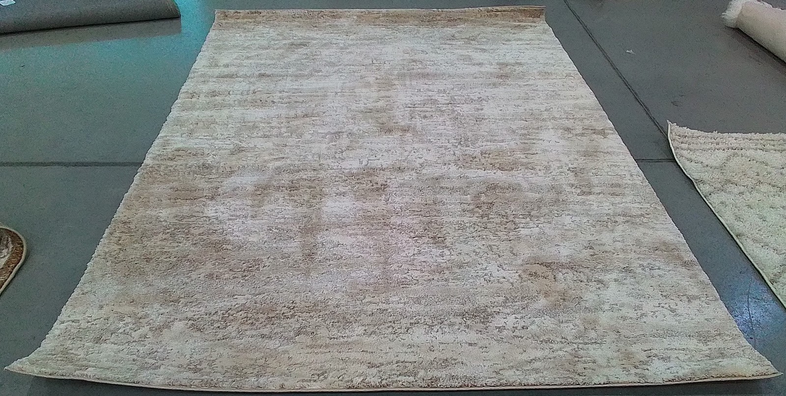IVORY / BEIGE 6′-7″ x 9′-0″ Back Stain Rug, Reduced Price 1172792060 CTY350B-6
