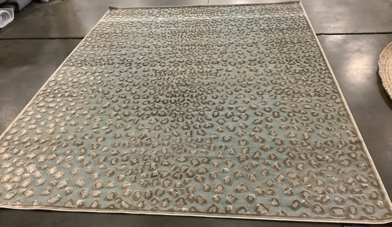 STONE / AQUA 8′-0″ x 10′-0″ Stained Rug, Reduced Price 1172670457 PAR84-3470-8