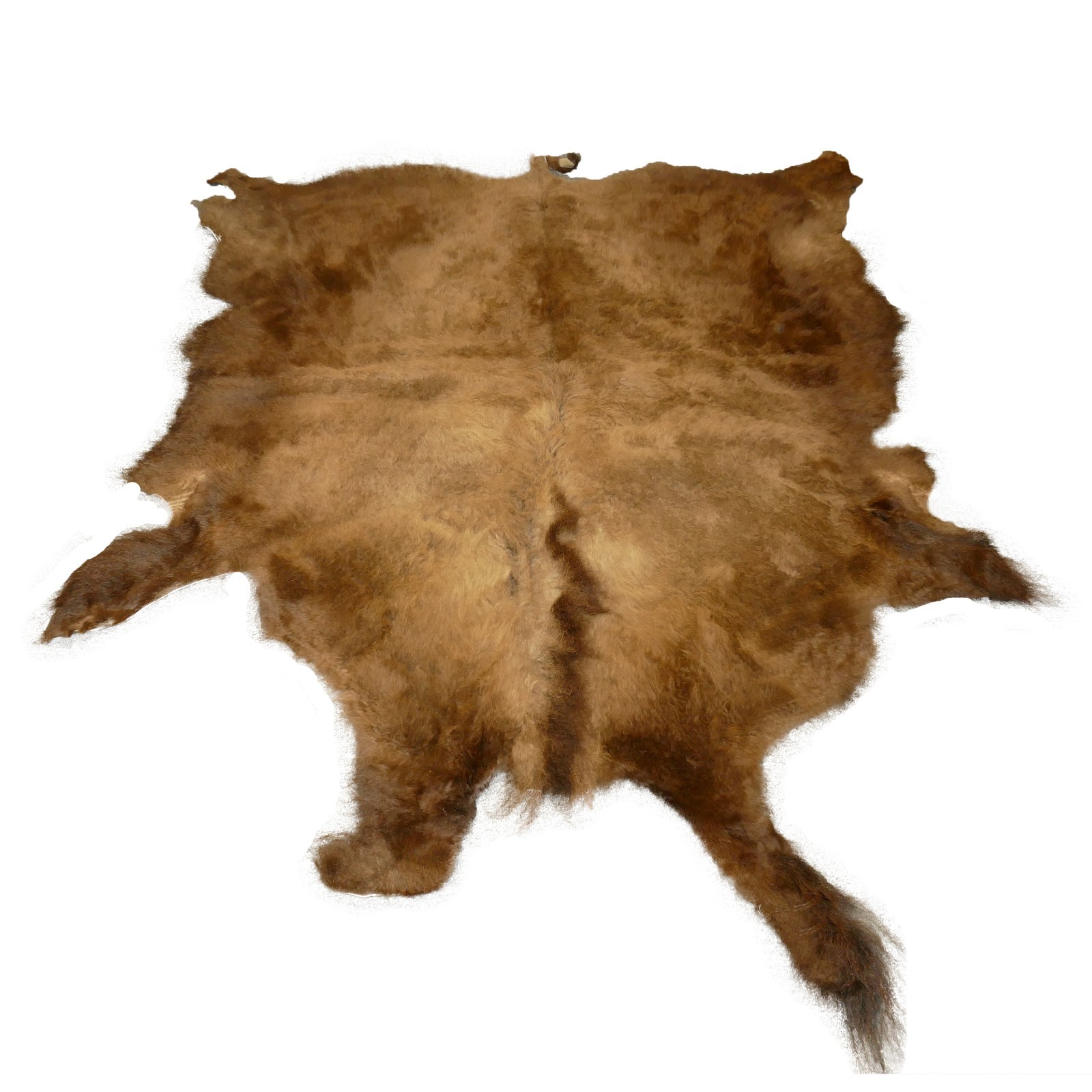 Glacier Wear First Quality Buffalo Bison Robe/Hide/Rug #1760