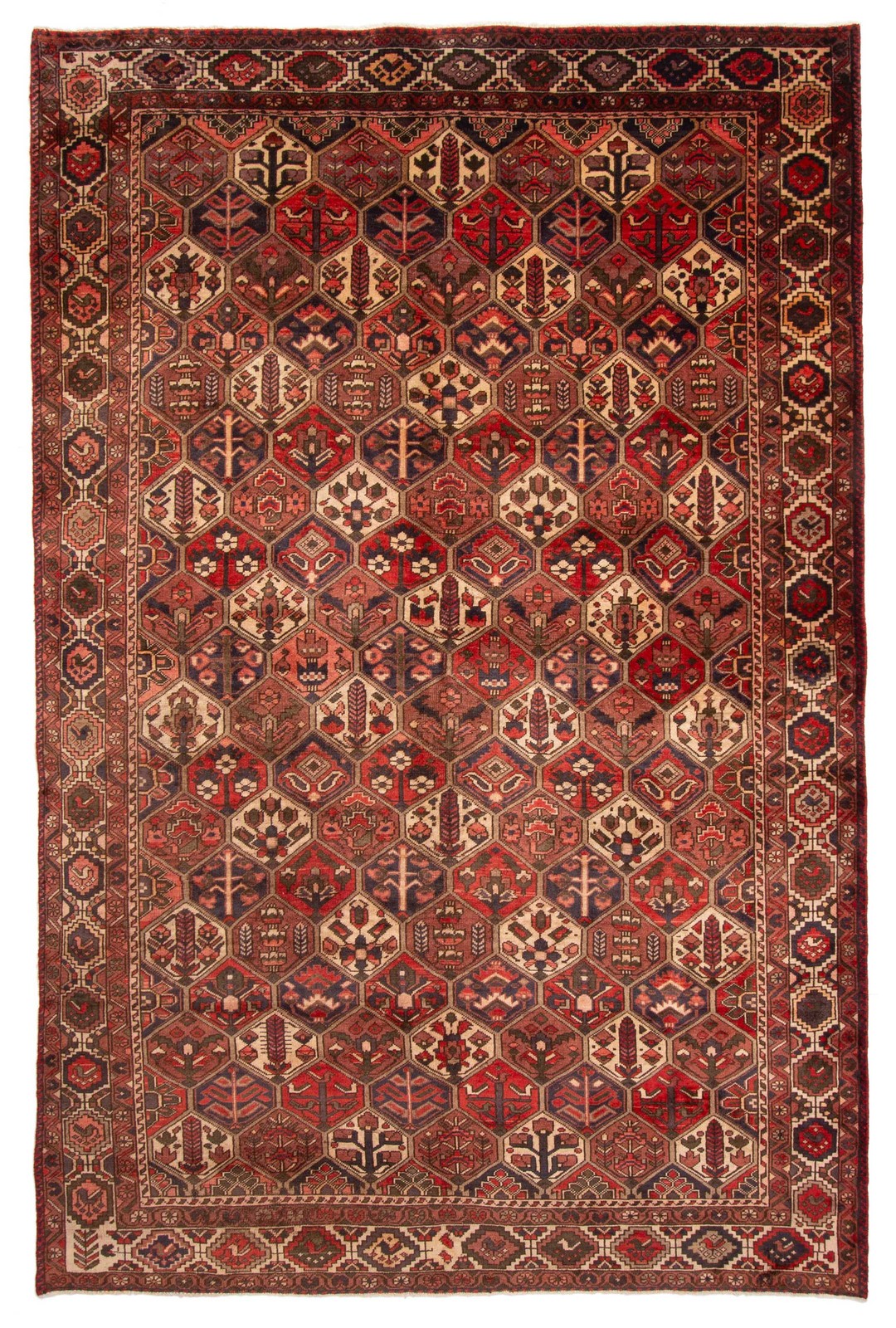 Vintage 6’8″ x 10’1″ Traditional Hand Knotted Vegetable Dye Wool Area Rug