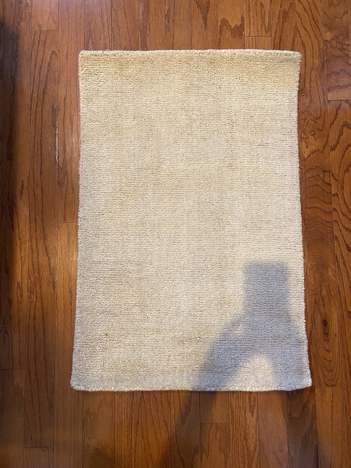 2Feet By 3 Feet Safavieh Rug Beige