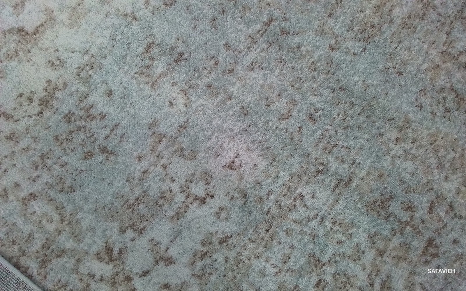 IVORY / TAUPE 9′-0″ x 12′-0″ Back Stain Rug, Reduced Price 1172801180 EVK256E-9