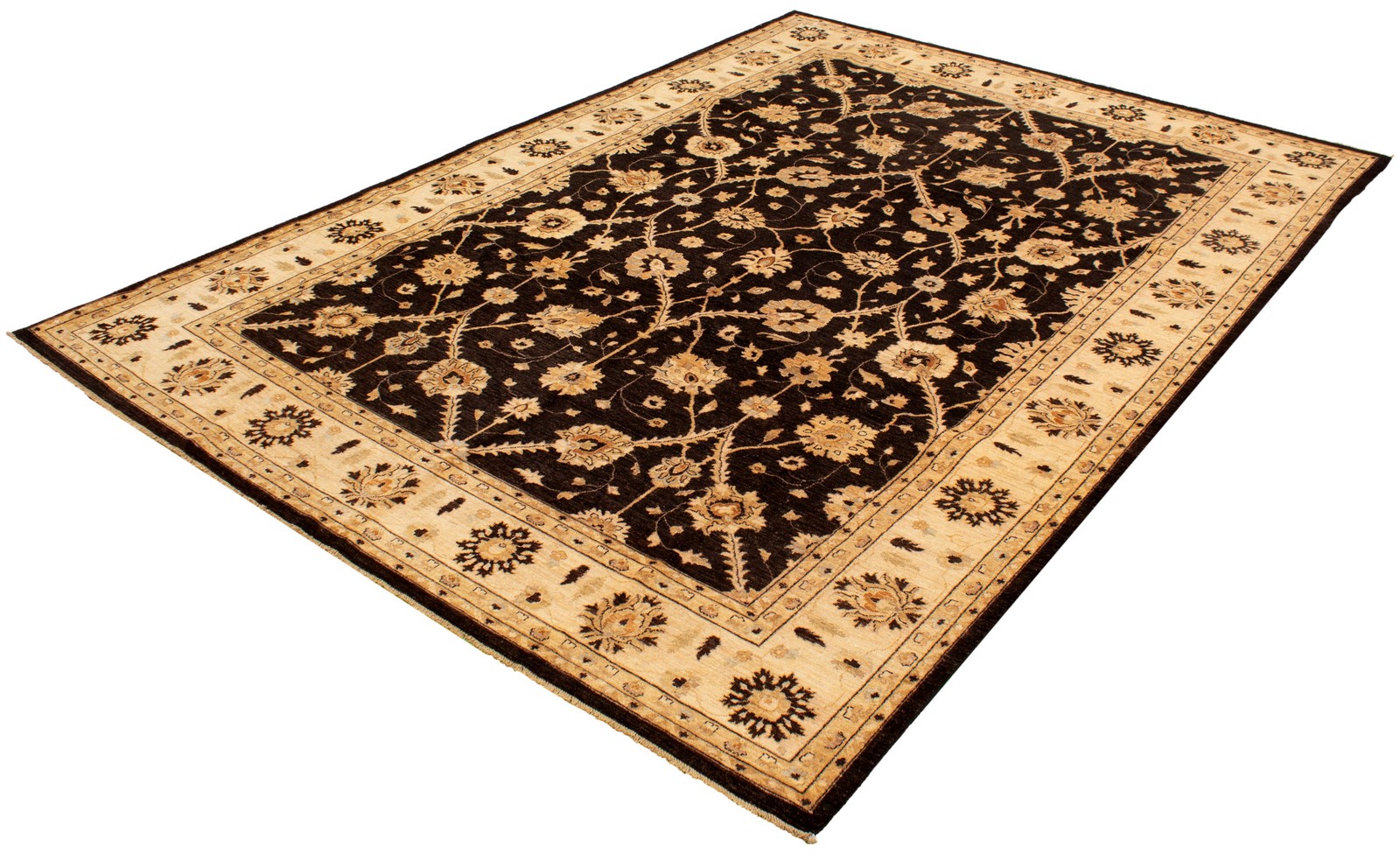Hand Knotted Area Rug 10’0″ x 13’10” Traditional Oriental Wool Carpet