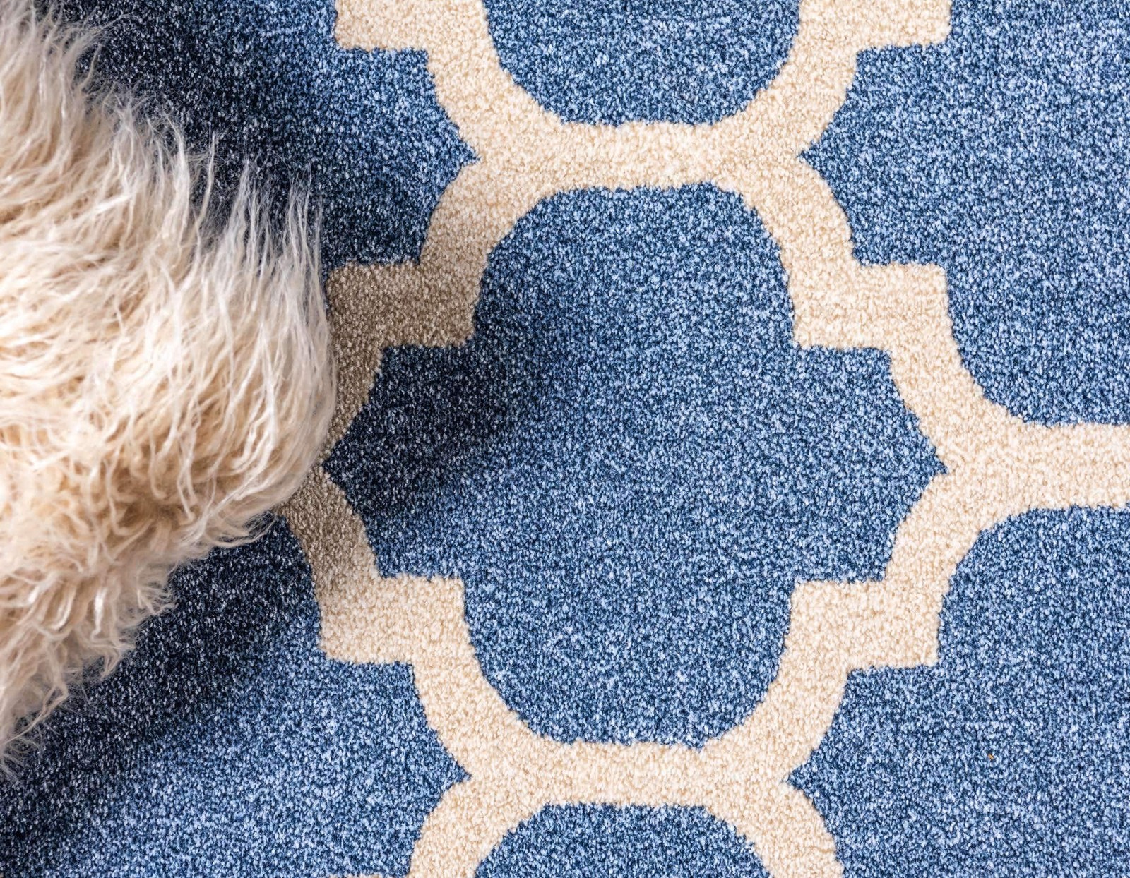 Unique Loom Trellis Collection Area Rug – Philadelphia 2 X 6 1 Runner Light