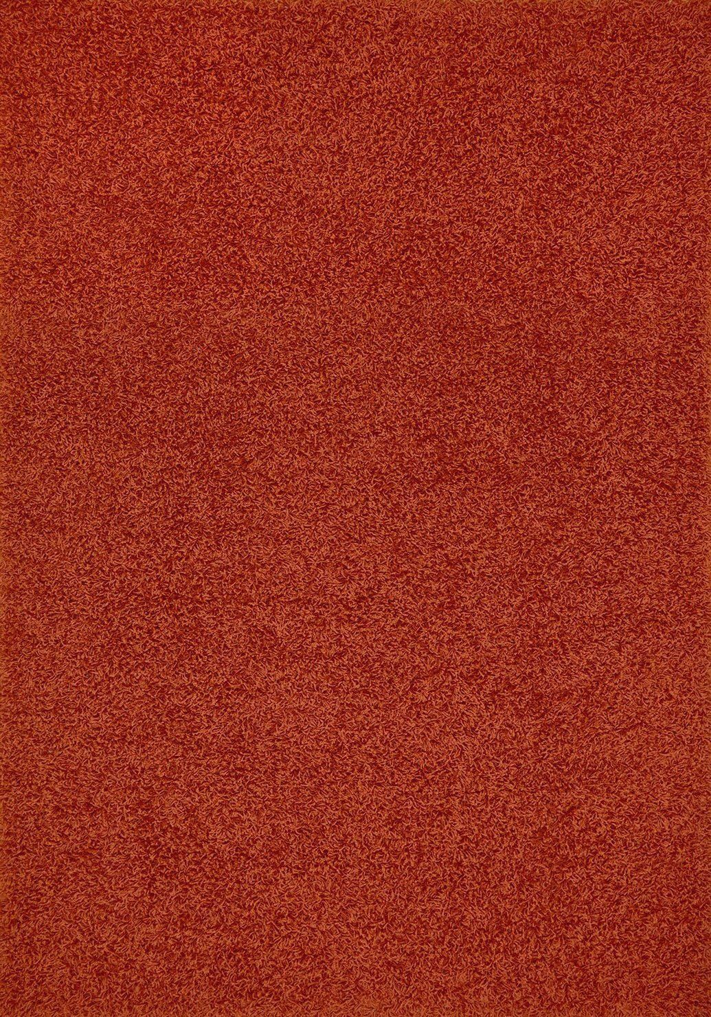 Premium Shaggy Collection Solid Color Shag Rug Area Rugs Multiple Color Options
