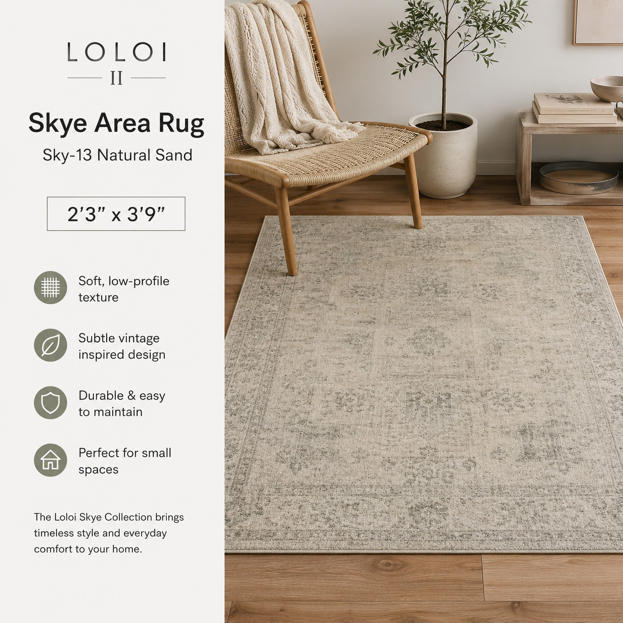 Loloi Skye Area Rug SKY-13 Natural Sand 2’3″ x 3’9″ Vintage Accent Rug